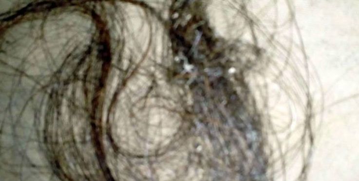 Caso Rosalía: confirmaron que el cabello encontrado es humano