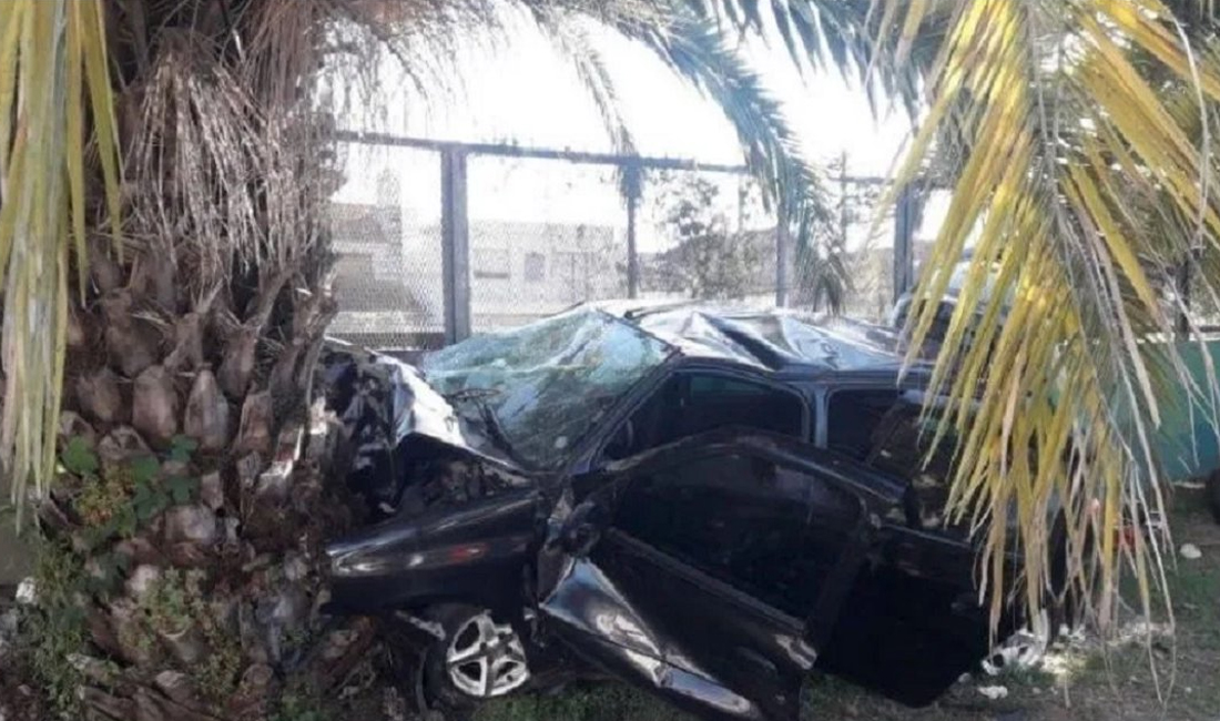 Quilmes: un auto chocó contra una palmera y murieron tres jóvenes