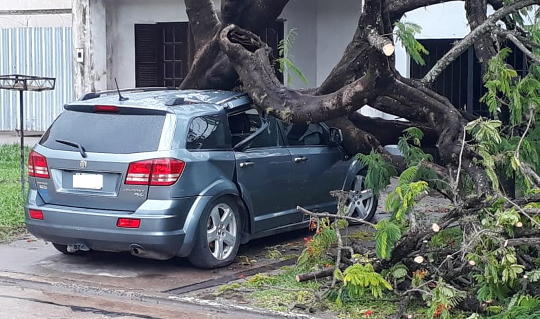 Miles de pesos de pérdidas por vehículos sin protección en la tormenta