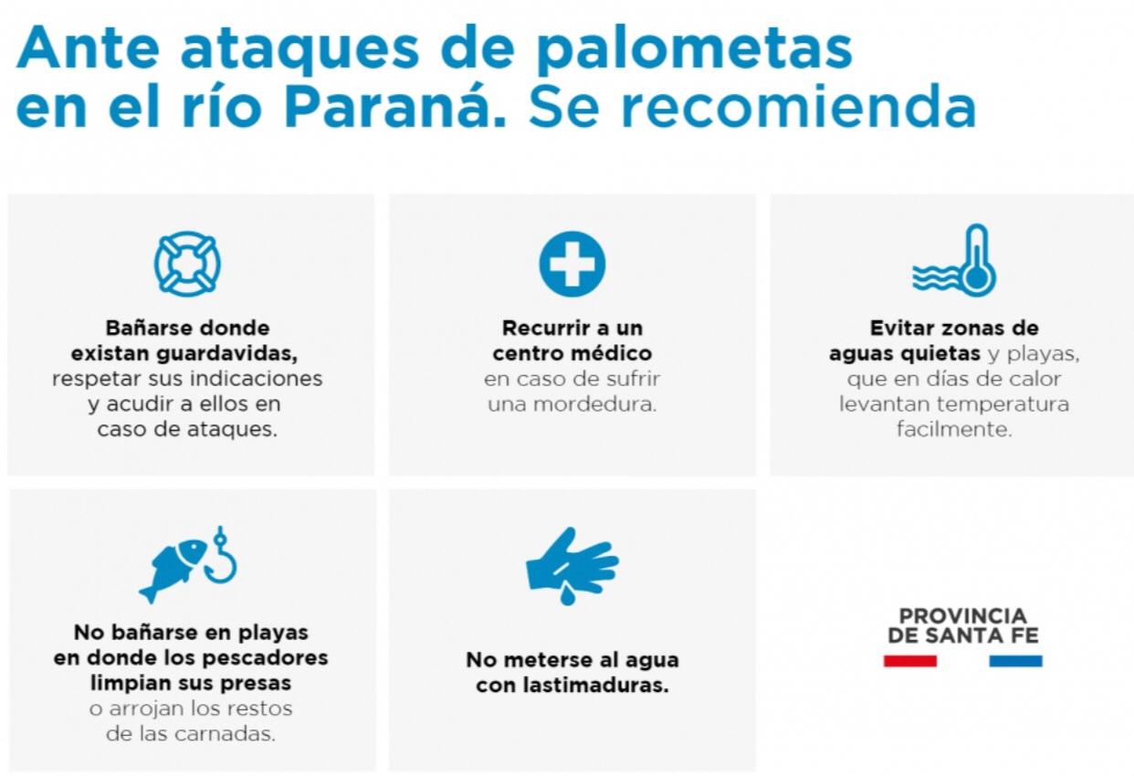 La provincia brindó recomendaciones ante la presencia de palometas en el río Paraná