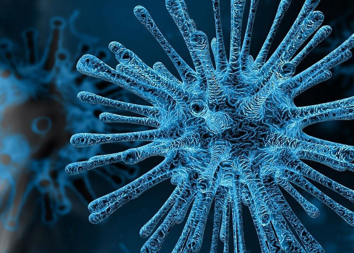 Confirmaron un nuevo fallecido por coronavirus en la provincia