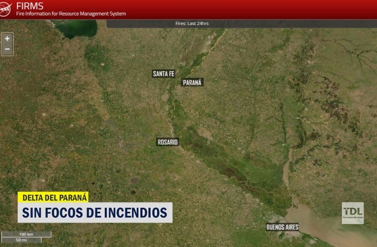 Las lluvias apagaron los focos de incendio en el Delta del Paraná