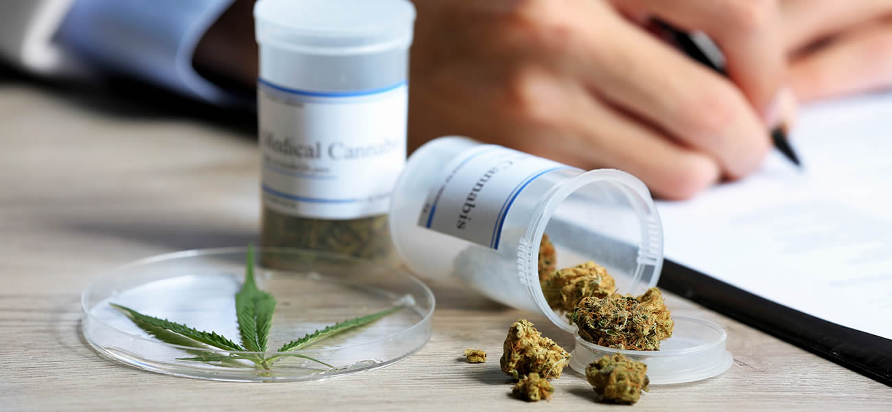 El Senado convirtió en ley el proyecto de uso medicinal y científico del cannabis