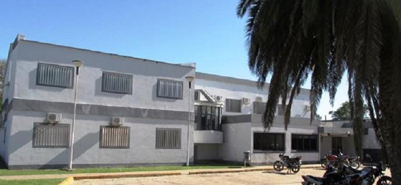 Una mujer, investigada por entregar a su décimo bebé