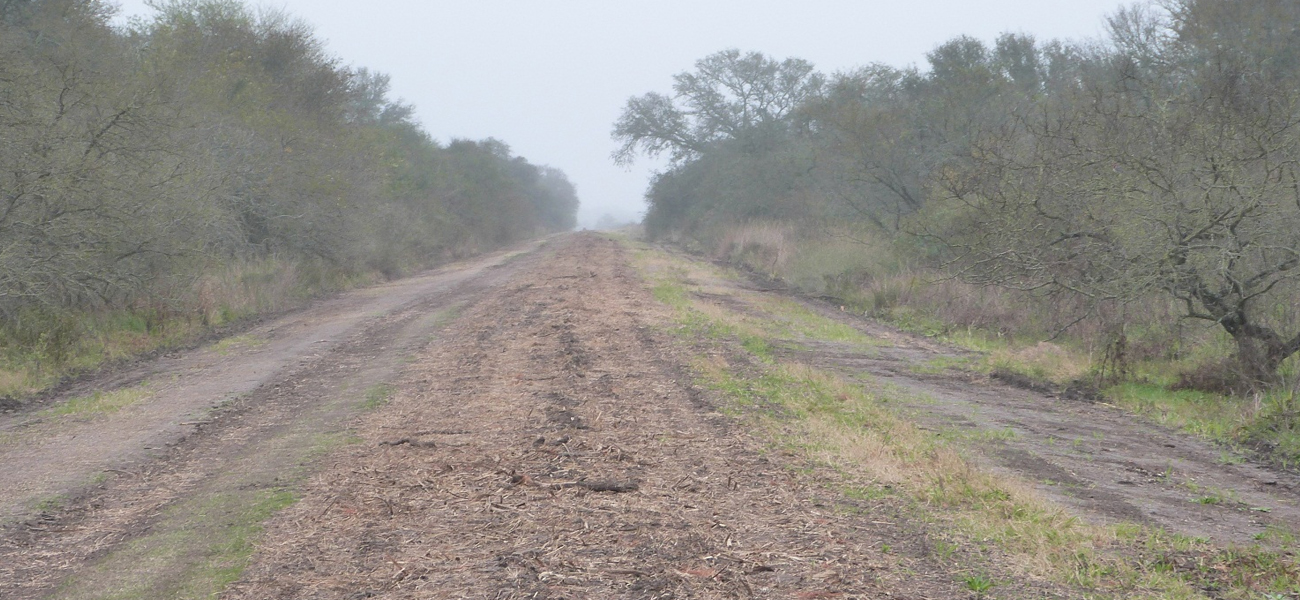 Malabrigo destaca el «óptimo estado de los caminos rurales»