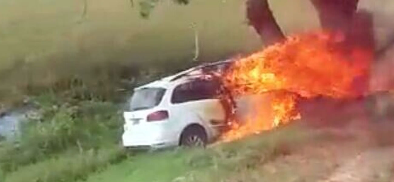 Chocó contra un árbol, el auto se incendió y murió una mujer