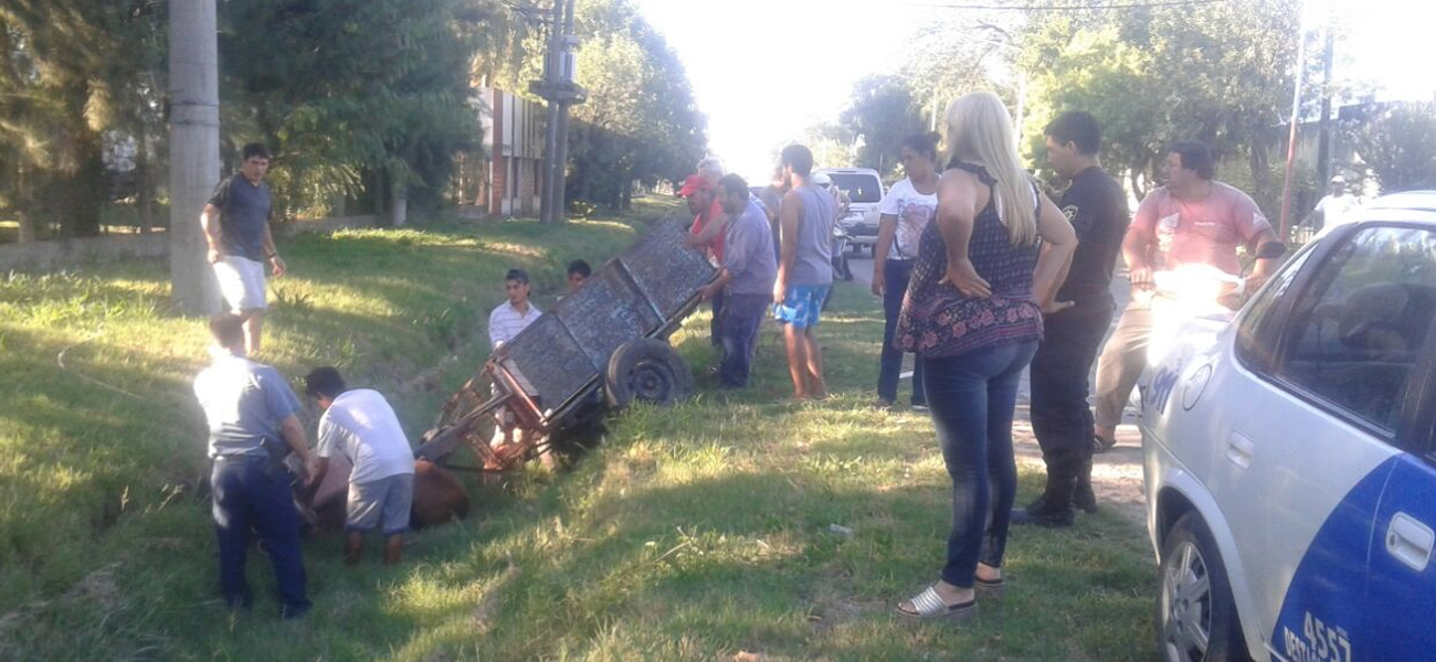 Se desbocó un caballo tirando un carro y terminó en una cuneta