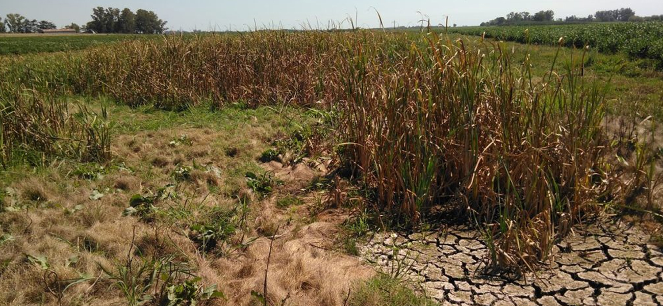 Gregoret solicitó la emergencia inmediata para tres departamentos afectados por la sequía