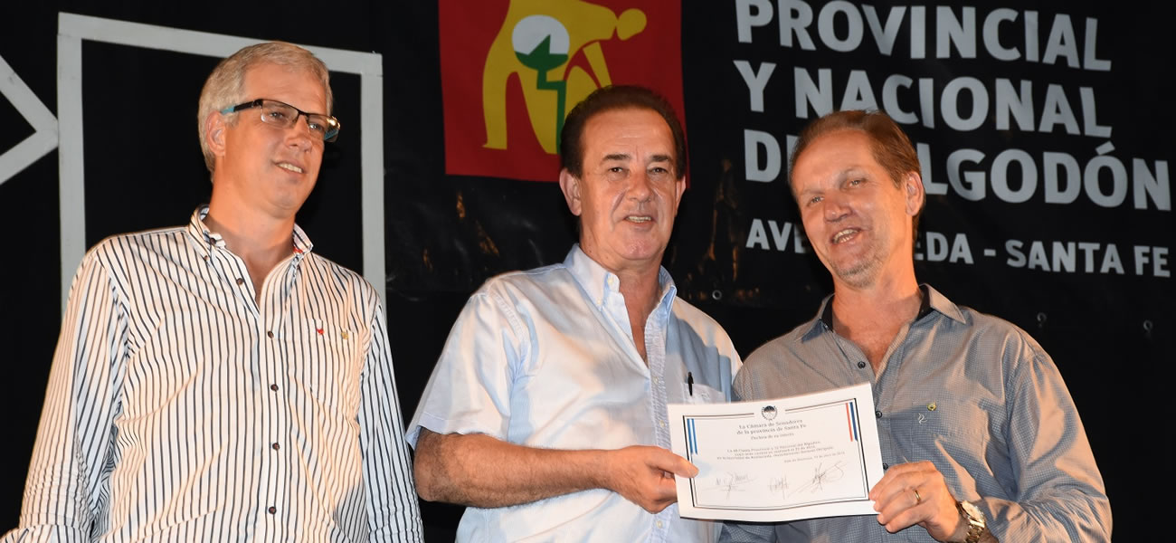 Exitosa Fiesta del Algodón en Avellaneda