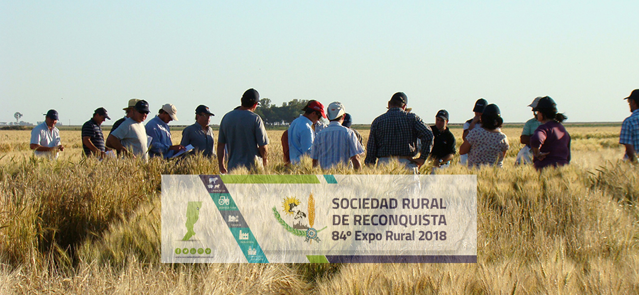 Agricultura, economías regionales y lechería: cómo sigue el campo en el segundo semestre