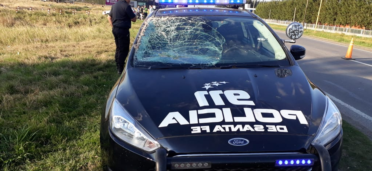 Patrullero atropelló un caballo en el acceso sur a Reconquista