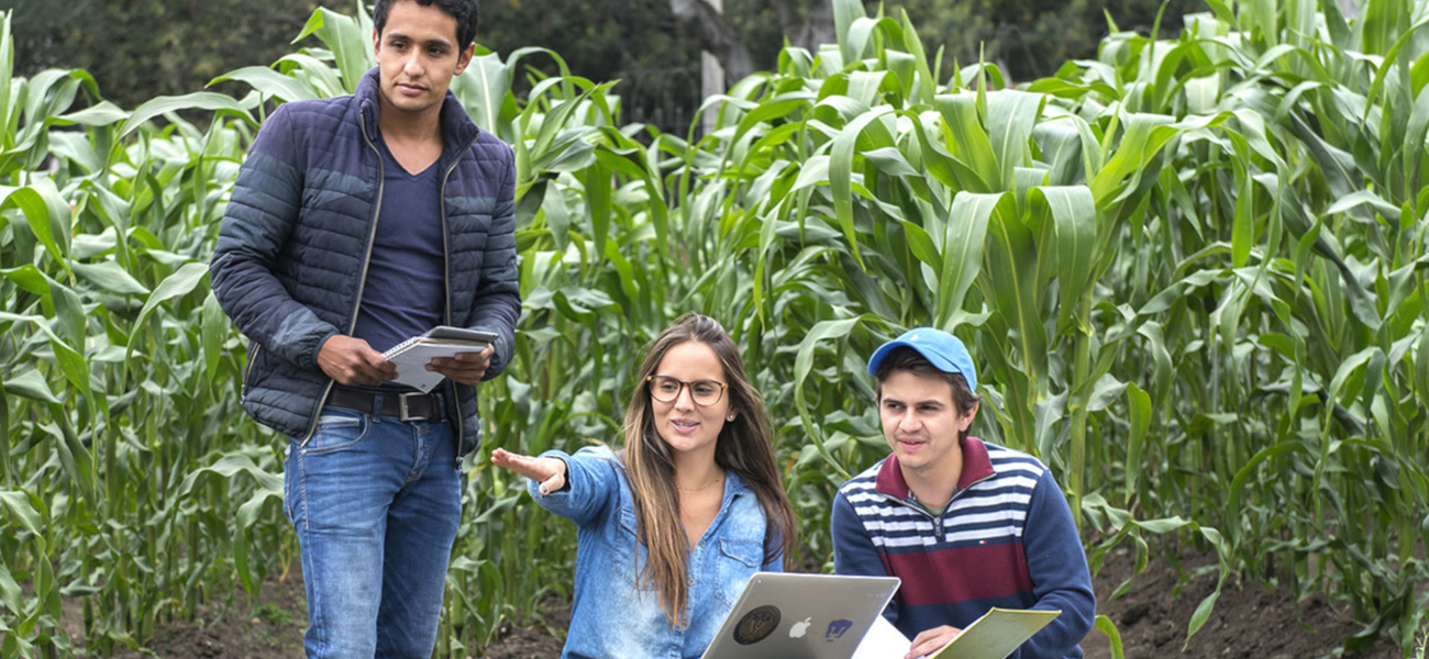 En la Secretaría de Producción y Desarrollo se realizará el censo agropecuario