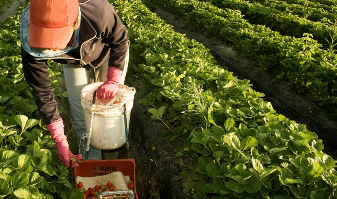La provincia convoca a productores a actualizar sus datos en el Registro único de producciones primarias