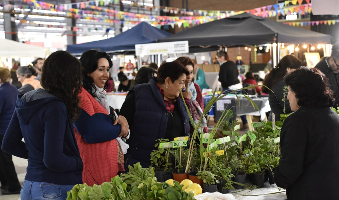 Artesanos y micro emprendedores organizan una gran feria en el Club Alumni para el 10 de noviembre