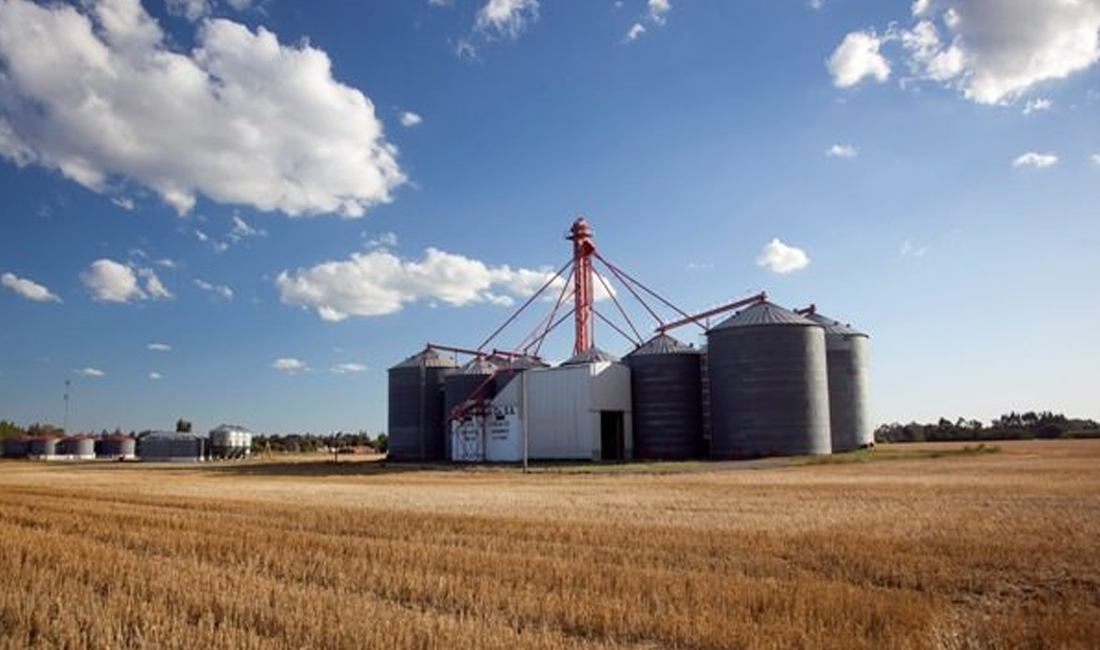 Importante cerealera nacional entró en crisis y le reboraron cheques por $47 millones