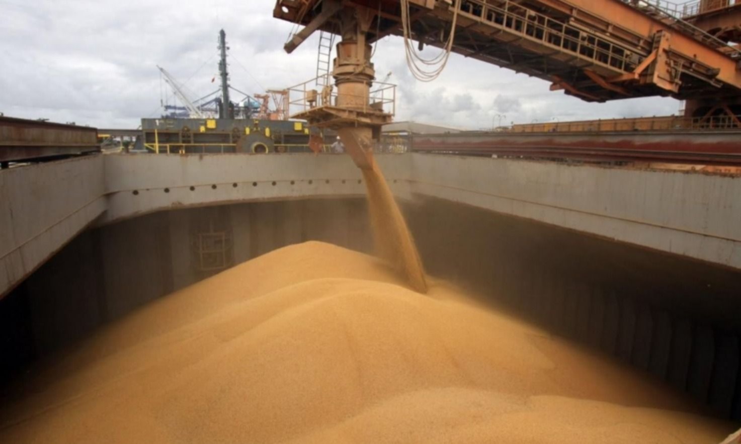 Vicentín: un grupo empresario egipcio quiere quedarse con los activos de la empresa