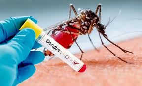 Ya son 16 los casos de dengue en Reconquista