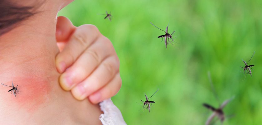 Un nuevo reporte indica que el Dengue continúa en aumento
