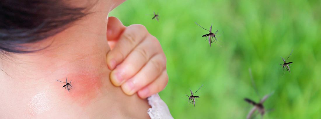 Reconquista superó los mil casos de dengue