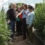 La provincia avanza en políticas públicas integrales en materia de Cannabis Medicinal