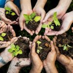Día Mundial de la Educación Ambiental: el planeta nos pide un cambio
