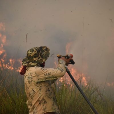 Arde Corrientes: los incendios forestales no dan tregua