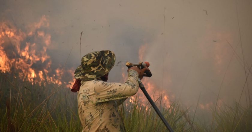 Arde Corrientes: los incendios forestales no dan tregua