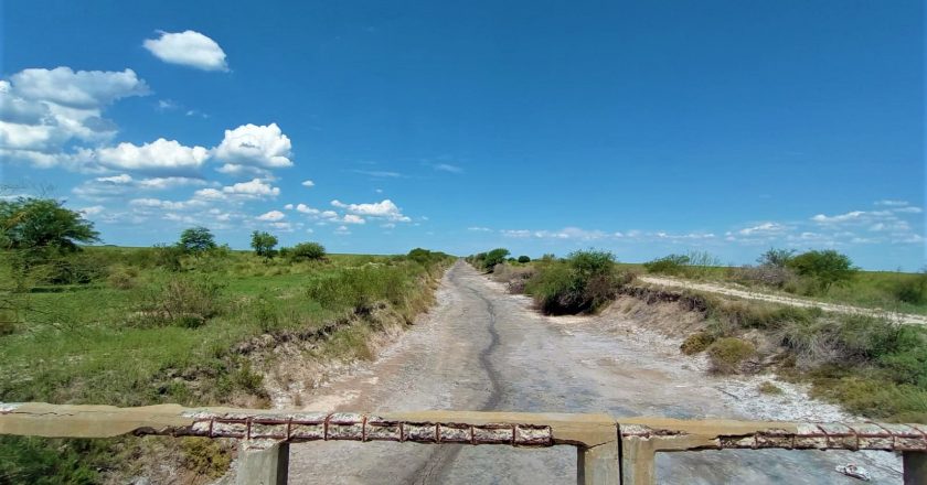 La tenacidad de los ganaderos para afrontar la sequía en el departamento Vera [VIDEO]