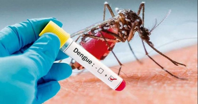 Situación crítica: hay 724 casos de dengue en el departamento General Obligado