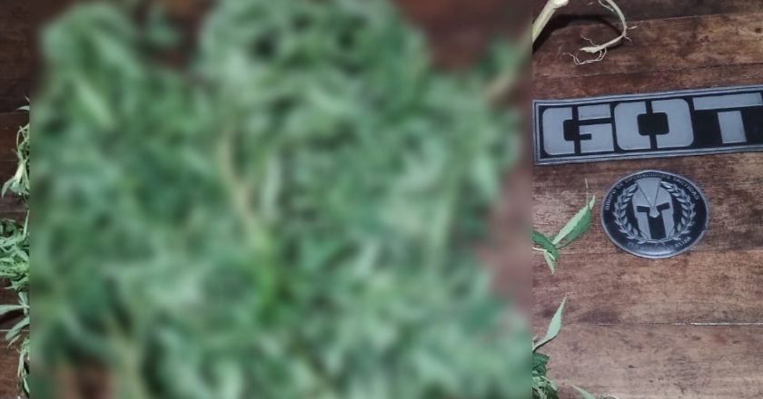 Quedó aprehendido un hombre que llevaba marihuana en una mochila