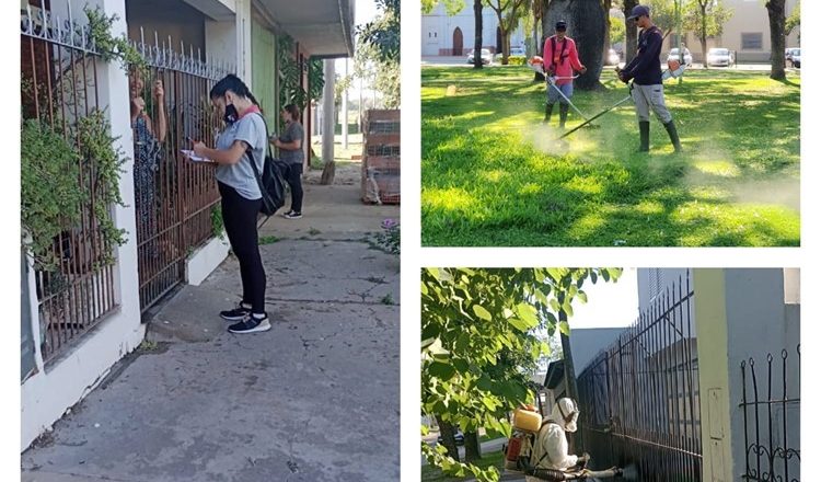 Avellaneda lucha contra el Dengue
