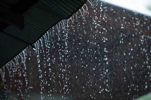 Todos los datos de lluvia de este jueves 2 de marzo