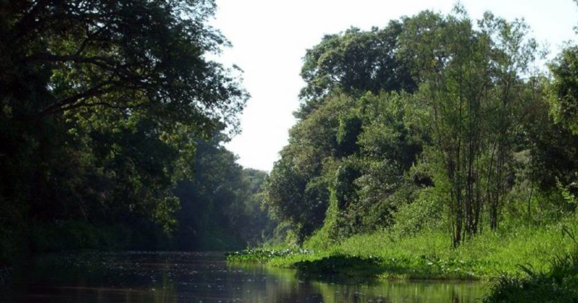 Ya son seis las comunas y municipios que se oponen al Parque Nacional Jaaukanigás