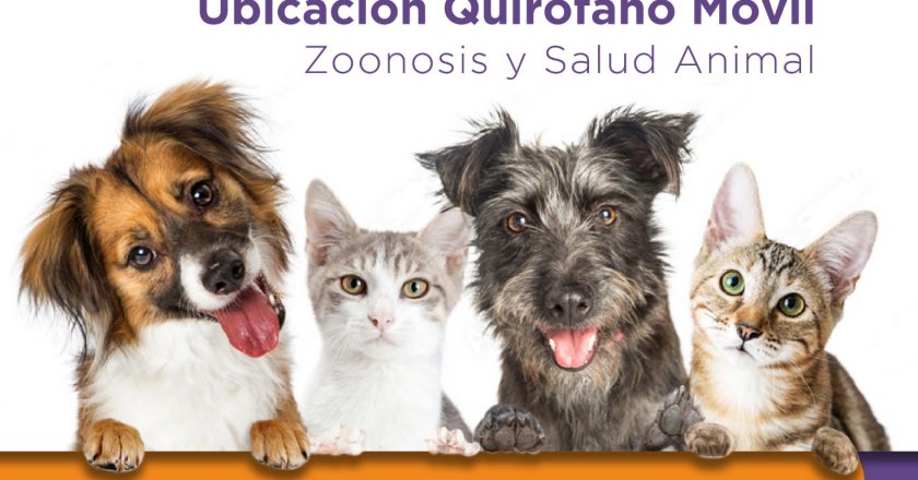 ¿Dónde estará el quirófano móvil esta semana?