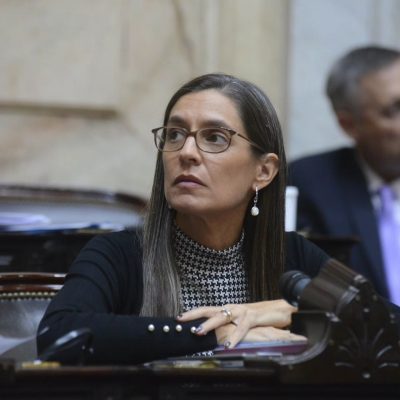 «Subestimaron la enfermedad»: Carolina Castets pide que se declare Emergencia Sanitaria por el Dengue