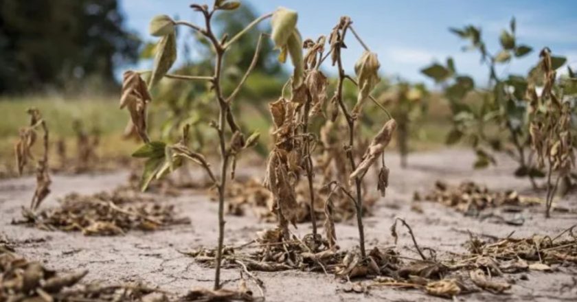 La provincia entregó créditos a productores afectados por la sequía: $22 millones a 50 trabajadores