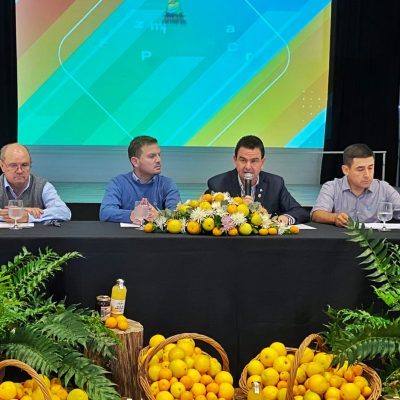 Se viene la 32° Fiesta Provincial del Citrus con Amboé, Patricia Sosa, Grupo Ceibo y Los Palmae